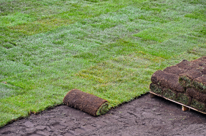 Bermuda Sod Installation Dallas GA