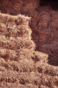 Pine Straw installation in Dallas, Georgia